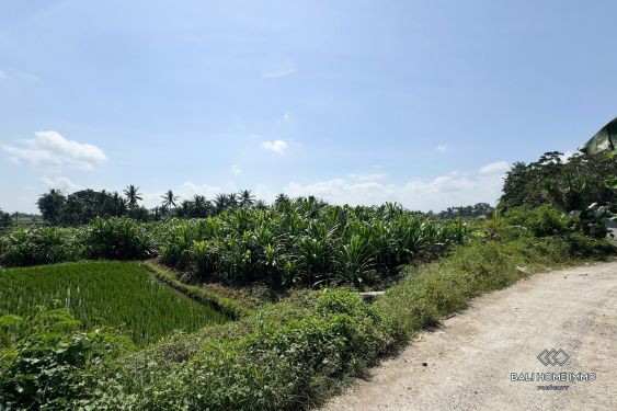 Image 3 from Green belt view land for sale leasehold in Bali Kemenuh near Ubud