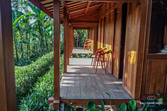 Image 9 from Dijual Kompleks Pondok Kayu Butik Hill View di Ubud, Bali
