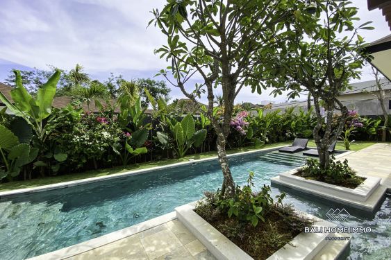 Image 14 from Immaculate 4 Bedroom Villa for Sale in Ungasan