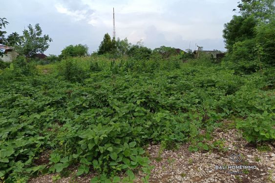 Image 5 from Investment Opportunity Land for Sale Leasehold in Kutuh Near Pandawa