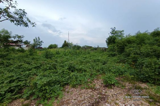 Image 8 from Investment Opportunity Land for Sale Leasehold in Kutuh Near Pandawa
