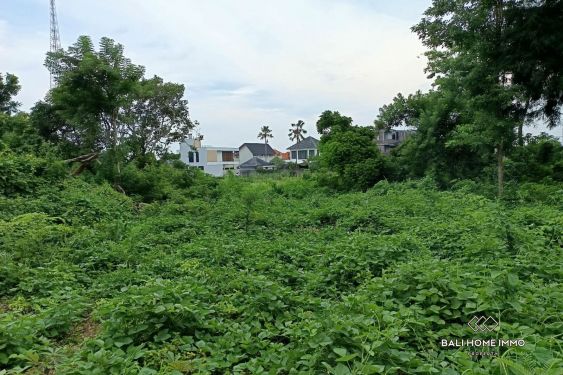 Image 12 from Investment Opportunity Land for Sale Leasehold in Kutuh Near Pandawa
