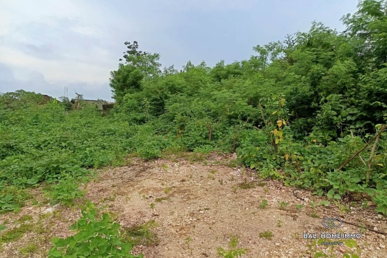 Image 4 from Investment Opportunity Residential Zoning Land for Sale Leasehold in Kutuh Near Pandawa
