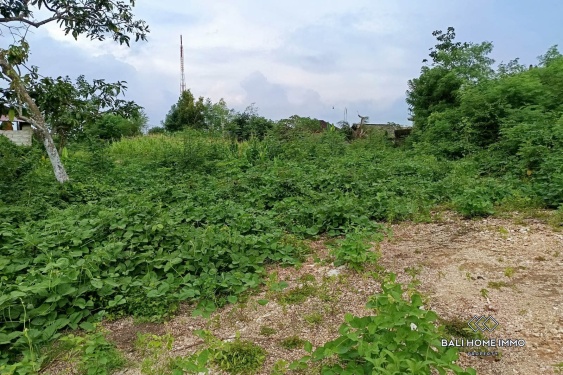 Image 3 from Investment Opportunity Residential Zoning Land for Sale Leasehold in Kutuh Near Pandawa