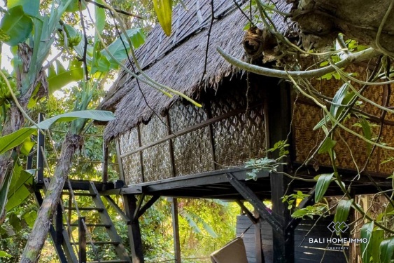 Image 17 from Joglo Style 6 Bedroom Villa for Rentals in Bali Pererenan - Tumbak Bayuh