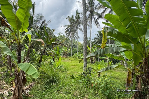 Image 5 from Jungle View Land for Sale in Tegalalang