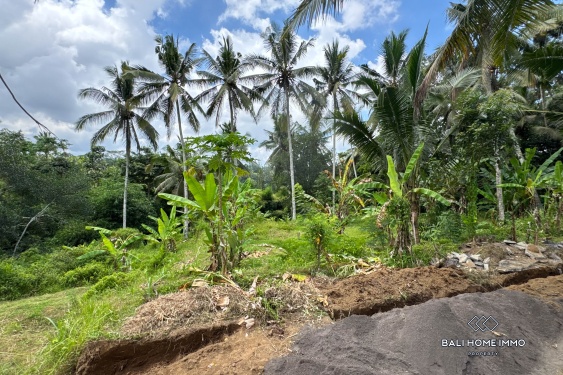 Image 8 from Jungle View Land for Sale in Tegalalang
