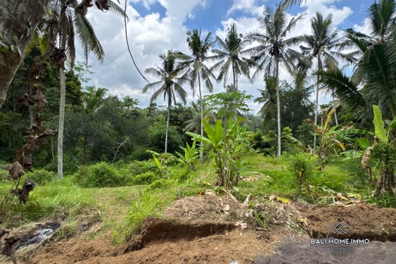 Image 7 from Jungle View Land for Sale in Tegalalang