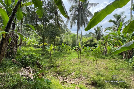 Image 2 from Jungle View Land for Sale in Tegalalang