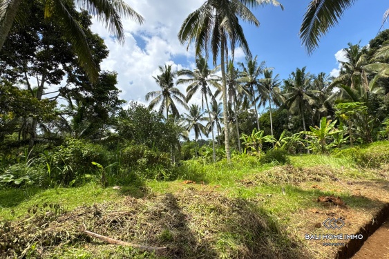 Image 4 from Jungle View Land for Sale in Tegalalang