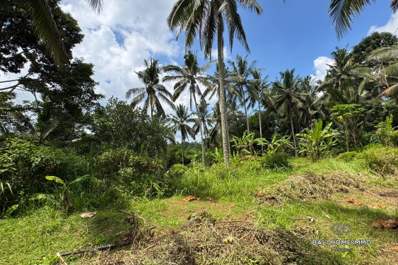 Image 3 from Jungle View Land for Sale in Tegalalang