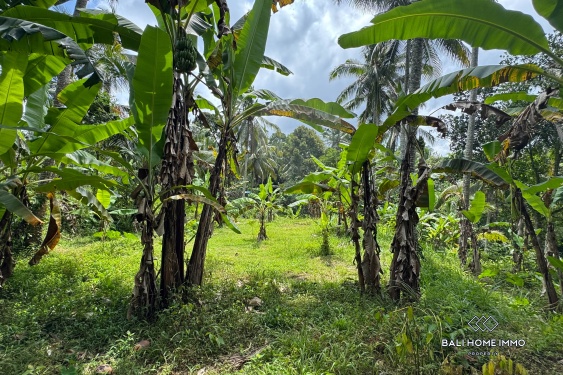 Image 6 from Jungle View Land for Sale in Tegalalang