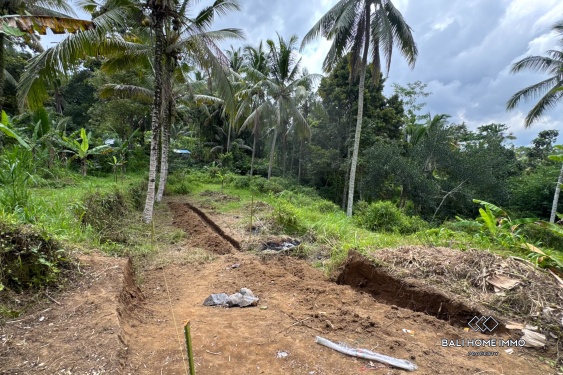 Image 9 from Jungle View Land for Sale in Tegalalang