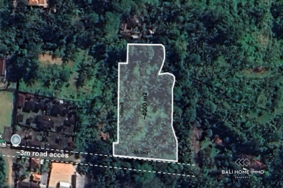 Image 1 from Jungle View Land for Sale in Tegalalang