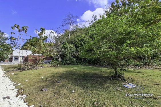 Image 3 from Jungle View Land for Sale in Ungasan