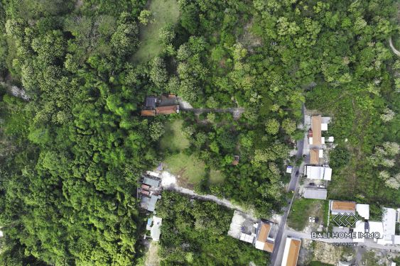 Image 2 from Jungle View Land for Sale in Ungasan