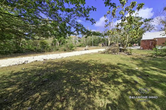 Image 3 from Jungle View Land for Sale in Ungasan