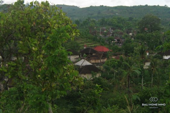 Image 2 from Terrain de 2,4 hectares à vendre en pleine propriété à Nusa Penida
