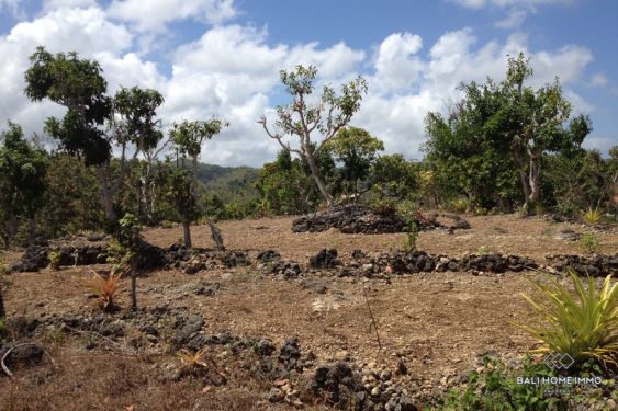 Image 3 from Terrain de 2,4 hectares à vendre en pleine propriété à Nusa Penida