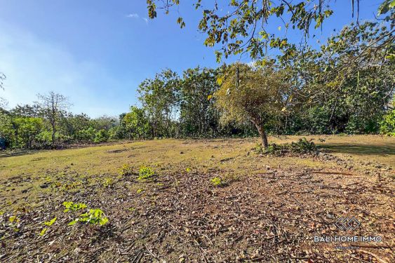 Image 2 from Land For Sale Freehold and Leasehold in Balangan - Bukit Peninsula
