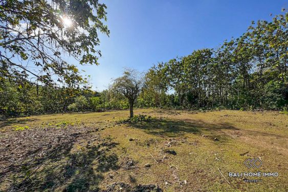 Image 3 from Land For Sale Freehold and Leasehold in Balangan - Bukit Peninsula