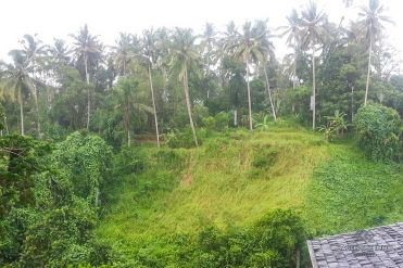 Image 2 from Land for sale freehold in Ubud