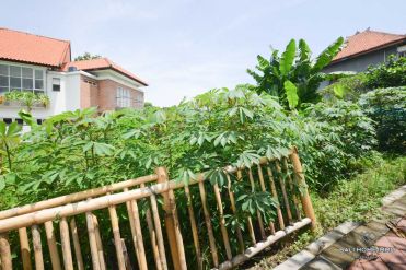 Image 3 from Land For Sale Freehold in Babakan - North Canggu