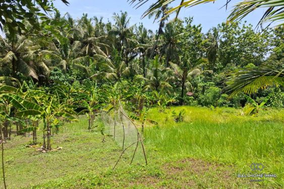 Image 2 from Land for Sale Freehold in Bali Balian
