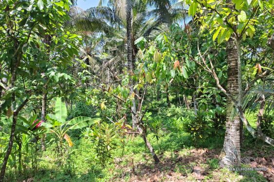 Image 3 from Land for Sale Freehold in Bali Balian