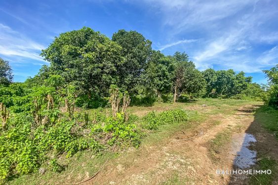 Image 3 from Land for Sale Freehold in Bali Bukit Peninsula