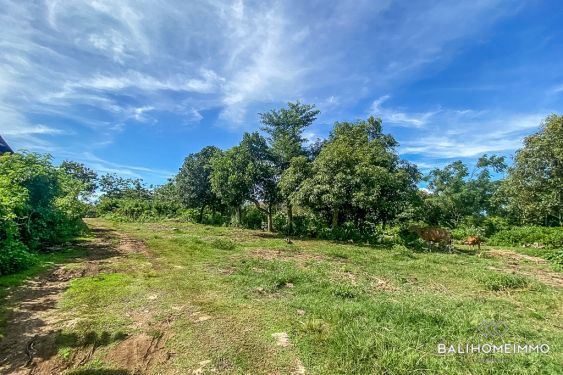 Image 2 from Land for Sale Freehold in Bali Bukit Peninsula
