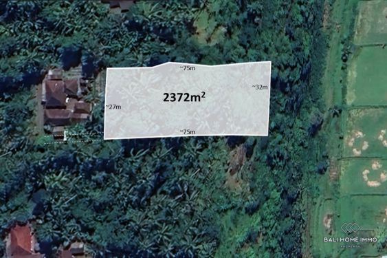 Image 1 from Land for Sale Freehold in Bali Karangasem