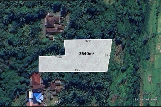 Image 1 from Land for Sale Freehold in Bali Karangasem