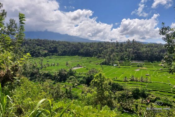 Image 2 from Terrain à vendre en pleine propriété à Bali Karangasem