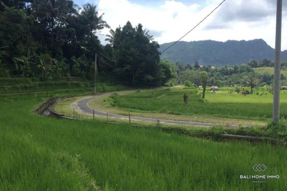 Image 3 from vue sur le champ de riz Terrain à vendre en pleine propriété à Bali Karangasem