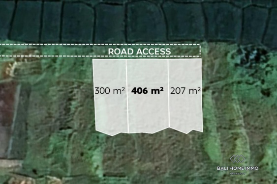 Image 1 from LAND FOR SALE FREEHOLD IN BALI NEAR SESEH BEACH