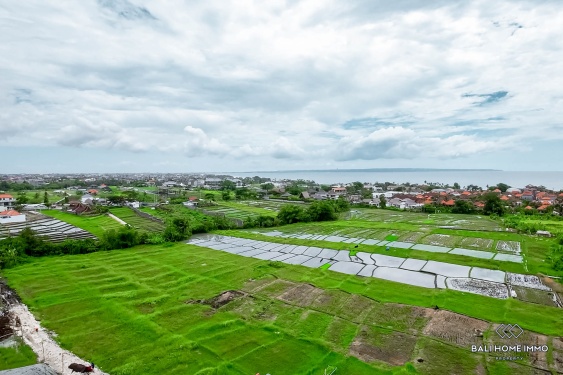 Image 4 from LAND FOR SALE FREEHOLD IN BALI NEAR SESEH BEACH