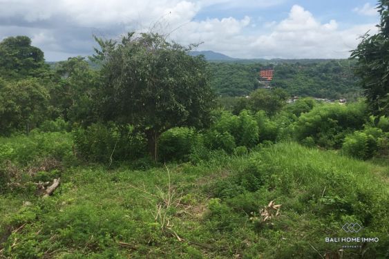 Image 3 from Land for Sale Freehold in Bali Nusa Lembongan