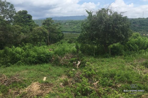 Image 2 from Land for Sale Freehold in Bali Nusa Lembongan