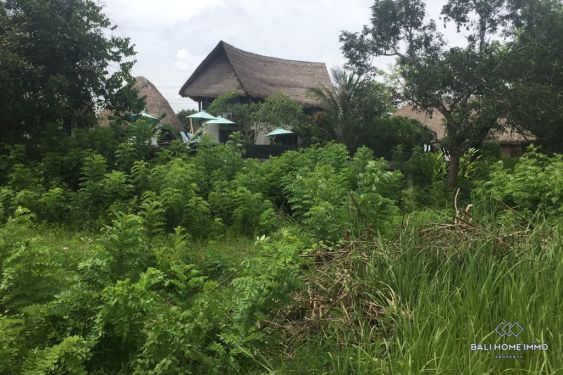 Image 3 from Land for Sale Freehold in Bali Nusa Lembongan
