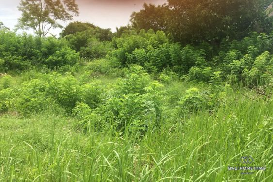 Image 4 from Terrain à vendre en pleine propriété à Bali Nusa Lembongan