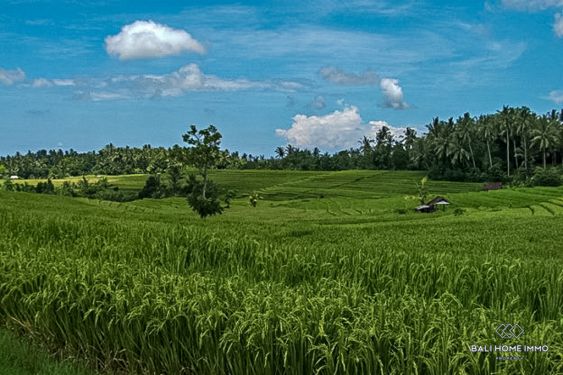 Image 2 from Land for Sale Freehold in Bali Tabanan