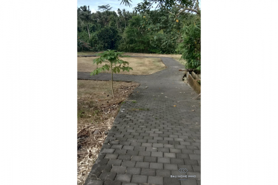 Image 3 from LAND FOR SALE FREEHOLD IN BALI GIANYAR NEAR UBUD