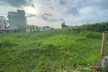 Image 1 from Land for Sale Freehold in Berawa