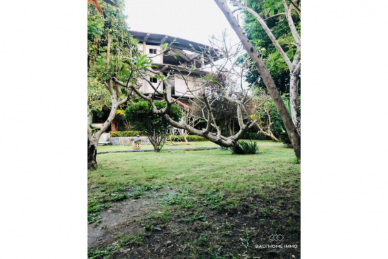 Image 4 from Land For Sale Freehold in Bali Canggu Padang Linjong