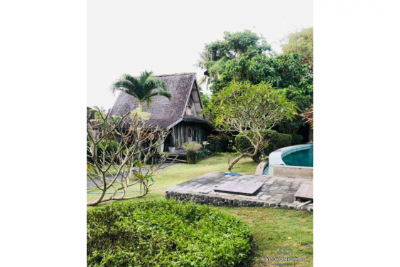 Image 3 from Land For Sale Freehold in Bali Canggu Padang Linjong