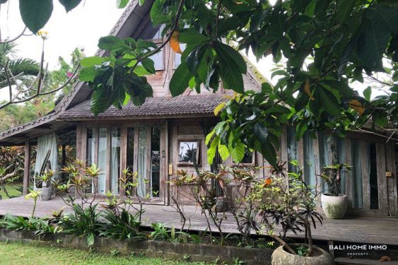 Image 1 from Land For Sale Freehold in Bali Canggu Padang Linjong