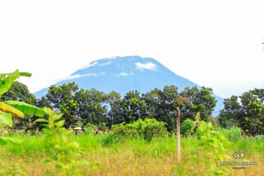 Image 3 from Land For Sale In Karang Asem