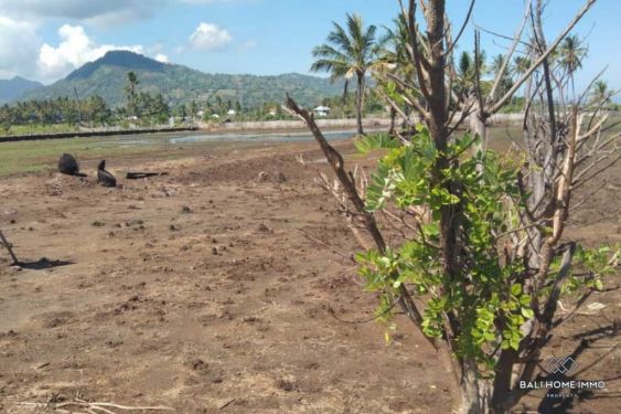 Image 5 from Land for sale freehold in Lombok