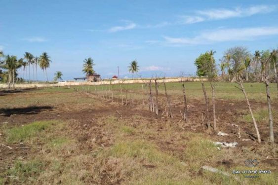 Image 8 from Land for sale freehold in Lombok